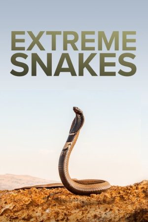 Extreme Snakes (2023) poster