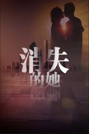 消失的她 (2023) poster