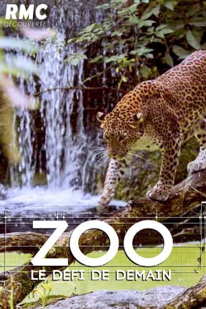 Zoo : le défi de demain (2017) poster