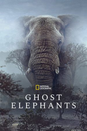 Ghost Elephants (2026) — Cast, Story & Where to Watch | MovieLinkBD poster