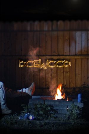 Dogwood (2026) poster