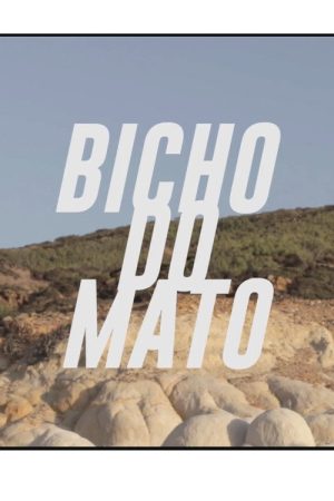 Bicho do Mato (2019) poster