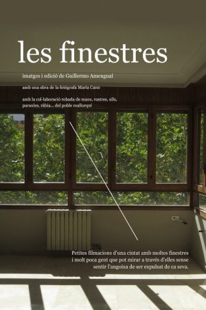The windows (2024) poster