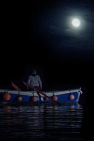 The Mermaid of Mevagissey (2019) poster