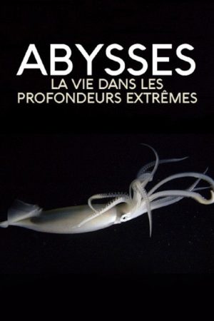 Extreme der Tiefsee – Abysses (2018) poster
