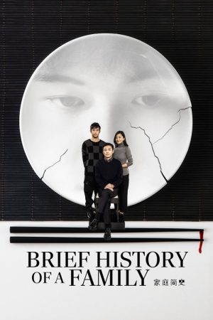 Brief History of a Family (2024) poster