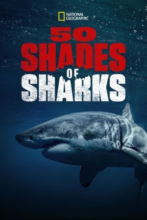 50 Shades of Sharks (2020) poster