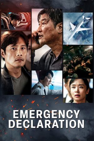 Emergency Declaration (2022) poster