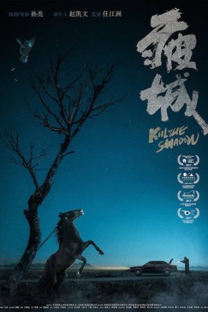 Kill the Shadow (2020) poster