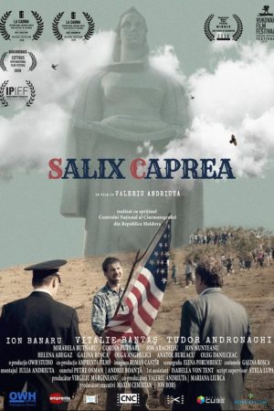 Salix Caprea (2018) poster
