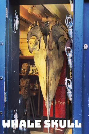 Whale Skull (2020) poster