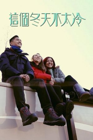 這個冬天不太冷 (2016) poster