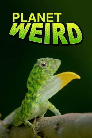Planet Weird (2025) poster