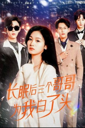 长眠后三个哥哥为我白了头 (2025) poster