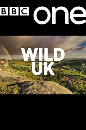 Wild UK (2017) poster
