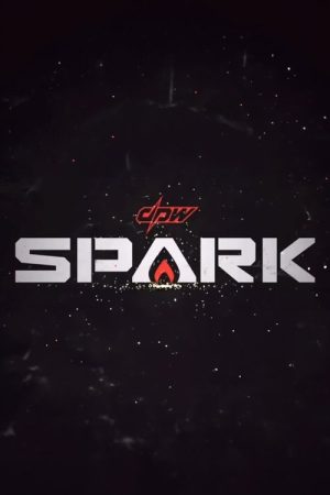 DPW Spark (2022) poster