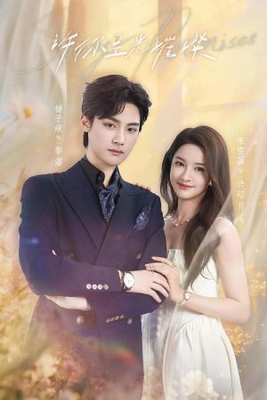 许你星光璀璨 (2026) poster