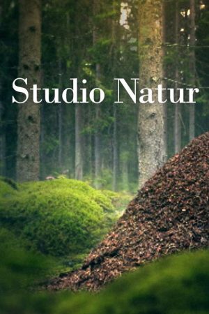 Studio Natur (2023) poster