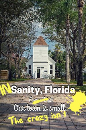 In Sanity, Florida (2017) poster