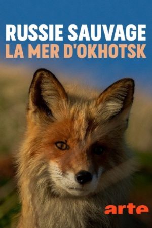 Russie sauvage : la mer d’Okhotsk (2018) poster