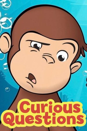Curious Questions (2020) poster