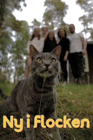 New to the Pack (2021) poster