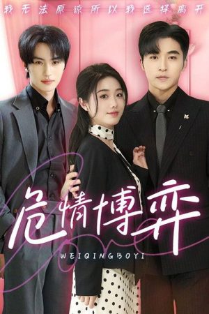 危情博弈 (2025) poster