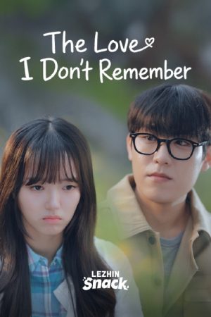 The Love I Don’t Remember (2026) poster