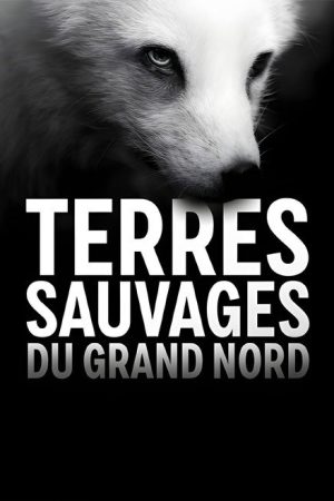 Terres sauvages du Grand Nord (2020) poster