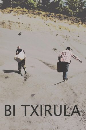 Bi txirula (2017) poster