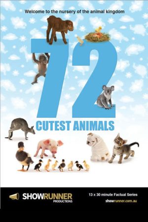 72 Cutest Animals (2016) poster