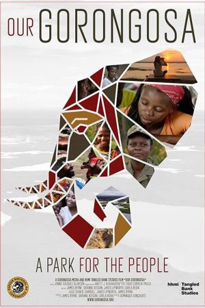 Our Gorongosa (2020) poster