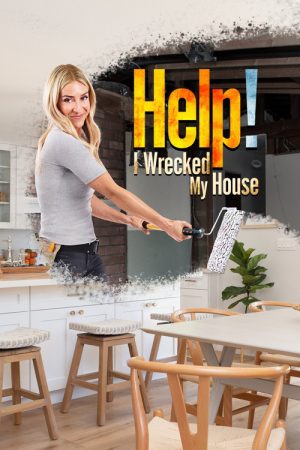 Help! I Wrecked My House (2020) poster