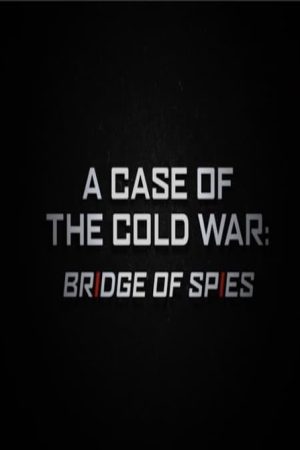 A Case of the Cold War: Bridge of Spies (2016) poster
