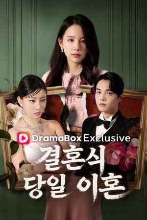 결혼식 당일 이혼 (2026) poster