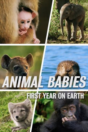 Animal Babies: First Year On Earth (2019) poster