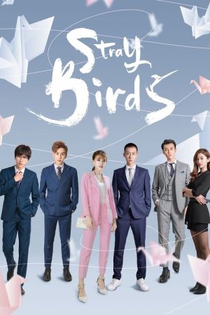Stray Birds (2021) poster