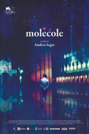 Molecules (2020) poster