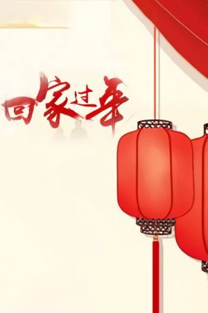回家过年 (2017) poster