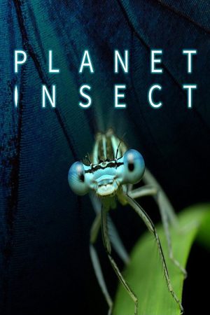 Planet Insect (2022) poster