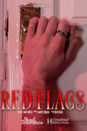 Red Flags (2025) poster