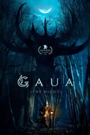 Gaua (The Night) (2025) poster