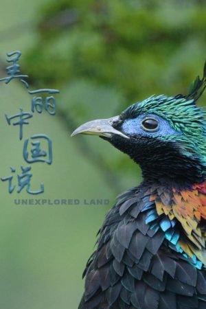 Unexplored Land (2021) poster