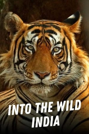 Into the Wild: India (2020) poster