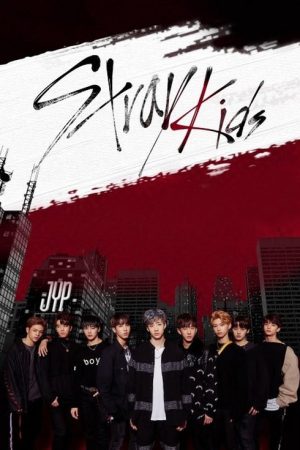 Stray Kids (2017) poster