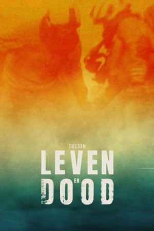 Tussen Leven en Dood (2025) poster
