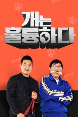 Dogs Are Incredible (2019) poster