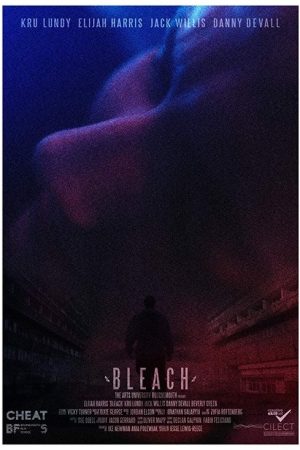 Bleach (2016) poster