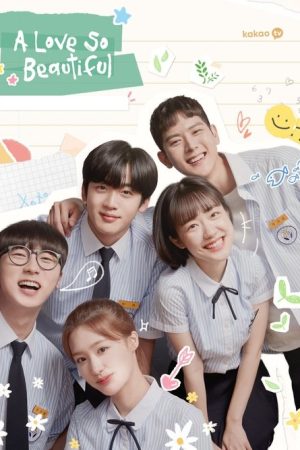 A Love So Beautiful (2020) poster