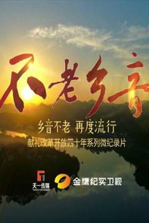 不老乡音 (2019) poster